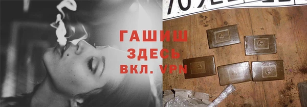 хмурый Алексин
