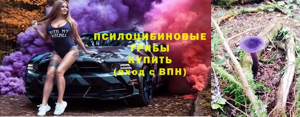 2c-b Алзамай