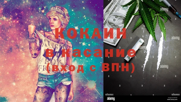 хмурый Алексин